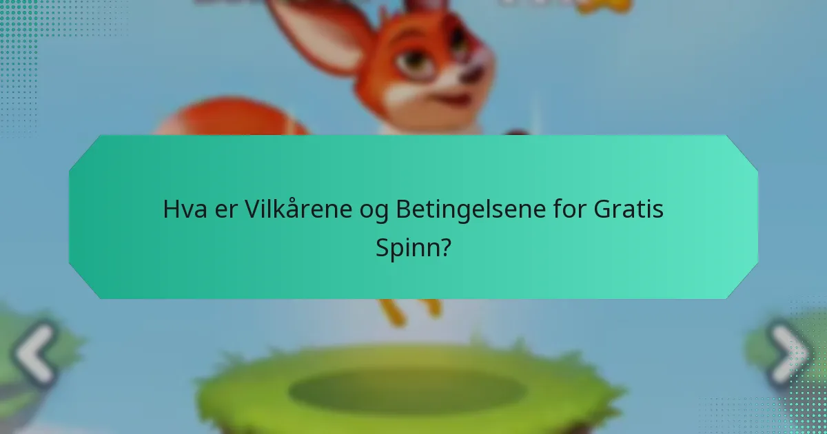 Hva er Vilkårene og Betingelsene for Gratis Spinn?